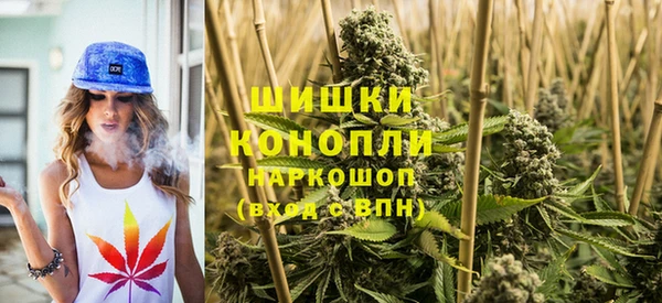 хмурый Бронницы