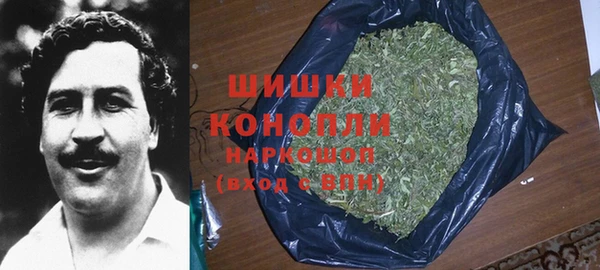 хмурый Бронницы