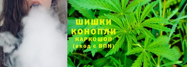 хмурый Бронницы